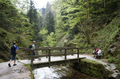 Allemagne, Forêt Noire
