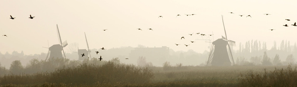 Hollande, Kinderdijk