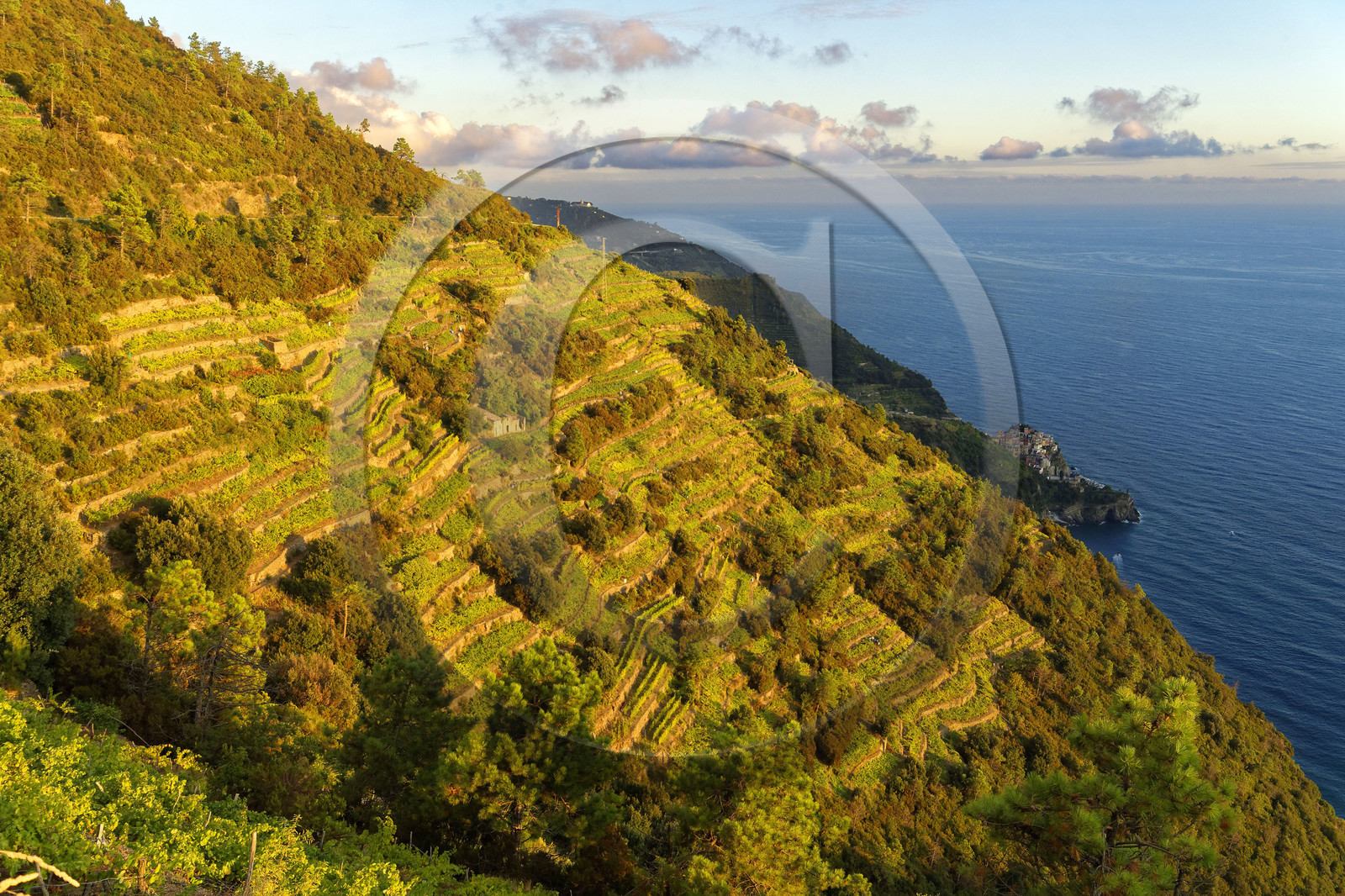 Italie, Cinque Terre