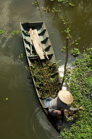 DELTA DU MEKONG.VIETNAM
