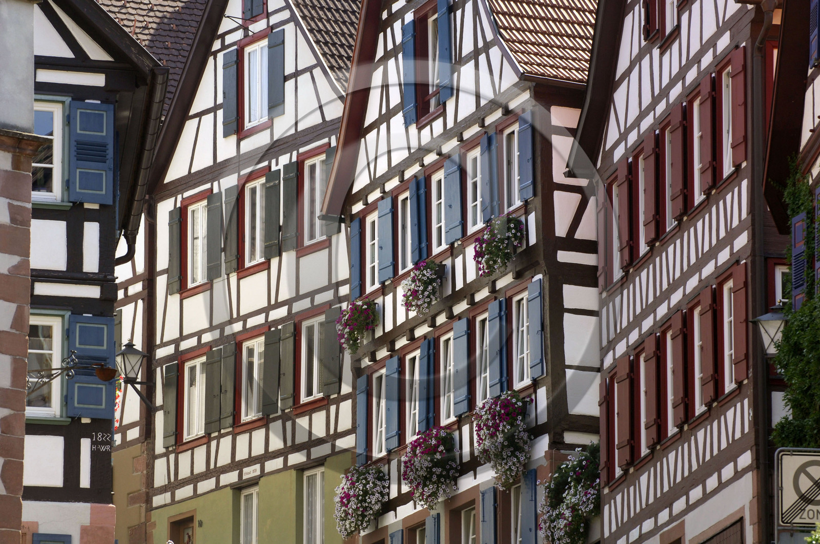 Black Forest, Germany