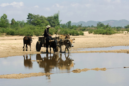 HAUTS PLATEAUX DU CENTRE. VIETNAM