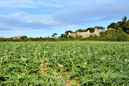 France, Plougrescant