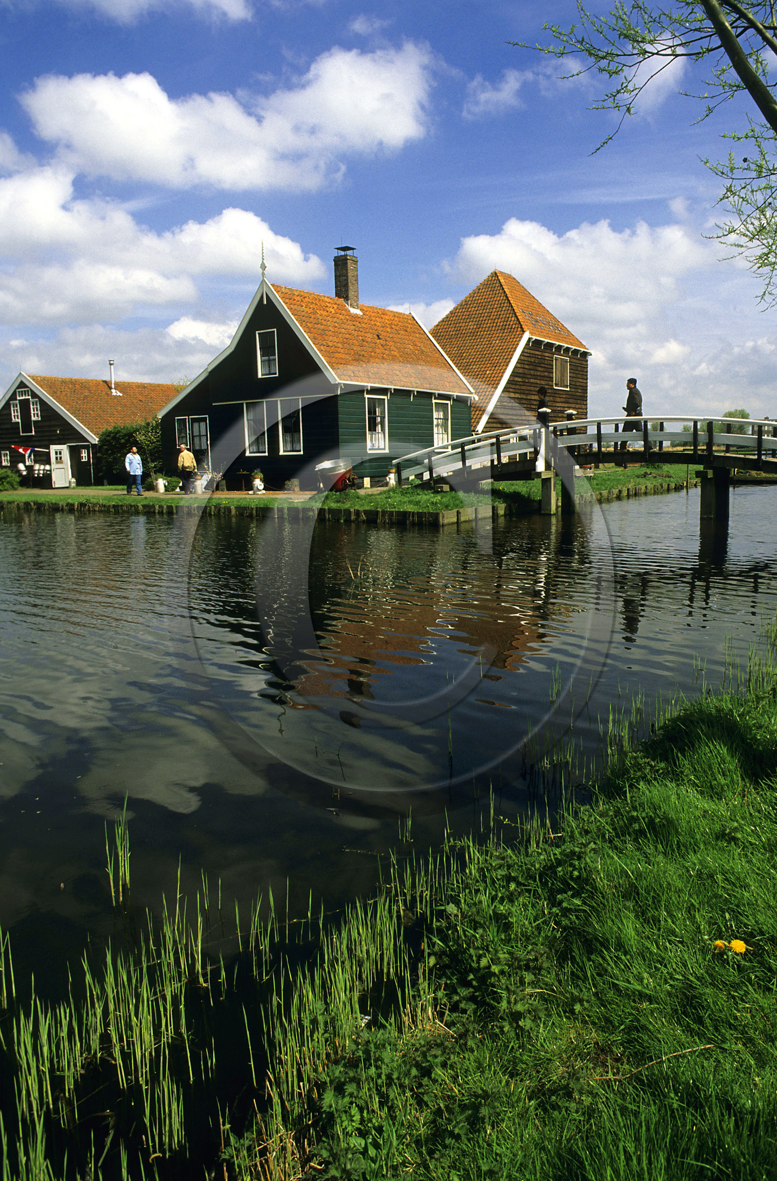 ZAANSE SCHANS.PAYS BAS