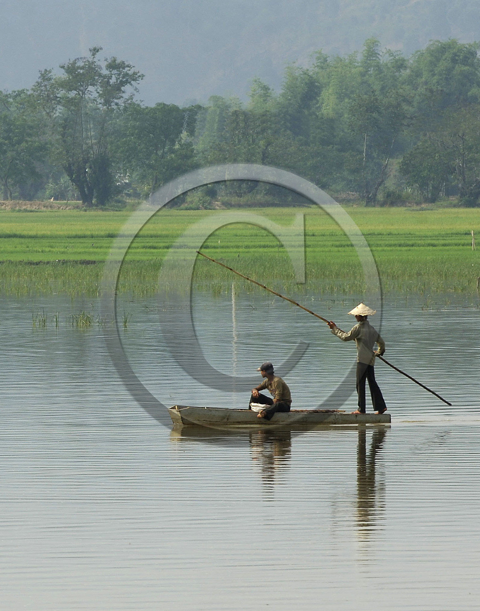 HAUTS PLATEAUX DU CENTRE. VIETNAM