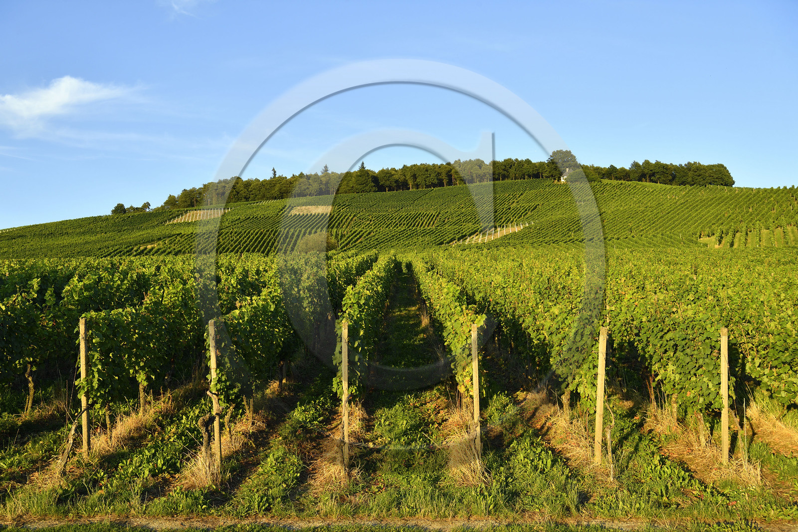 Allemagne, Baden-Baden