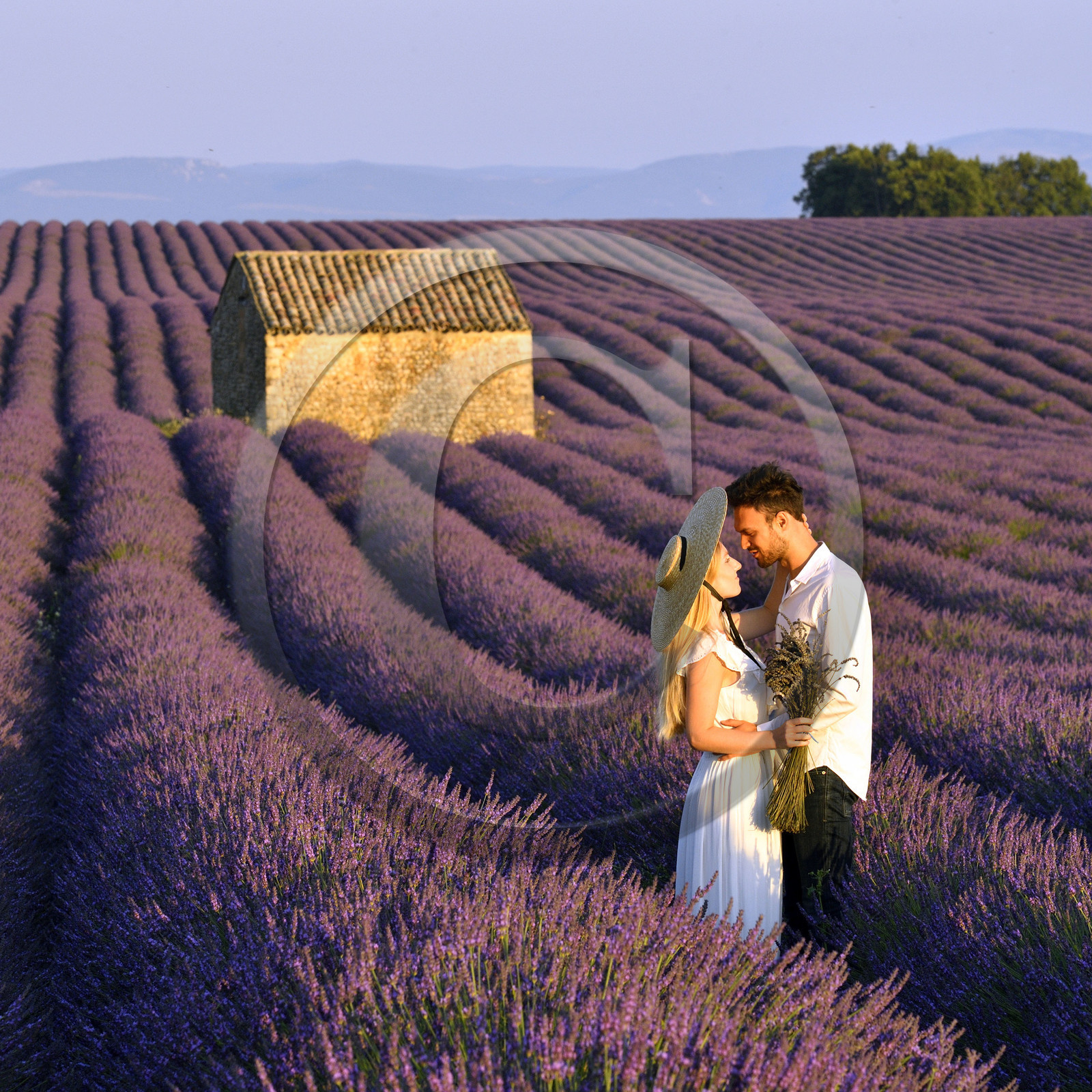 France, Valensole