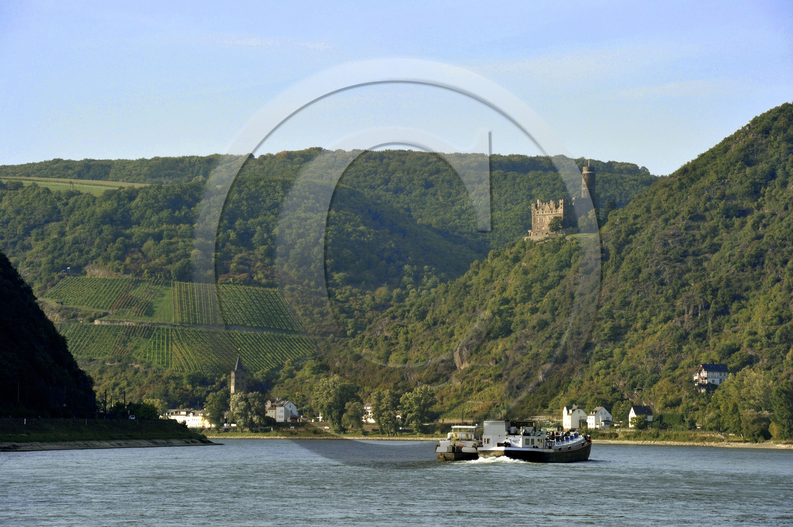 Allemagne, Rhin