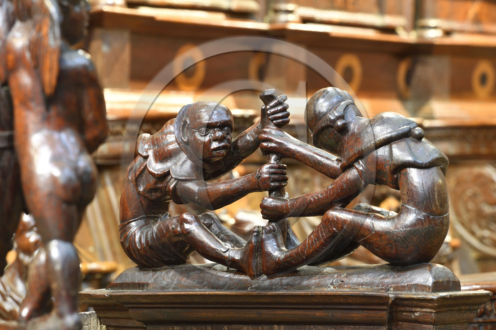 France france haute garonne saint bertrand comminges