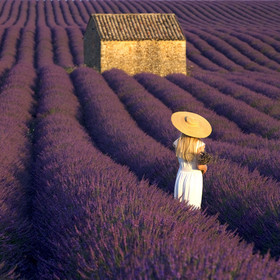 France, Valensole