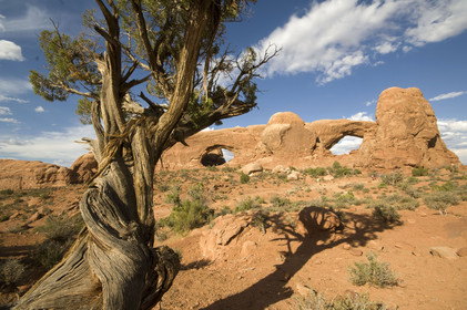 USA, ARCHES