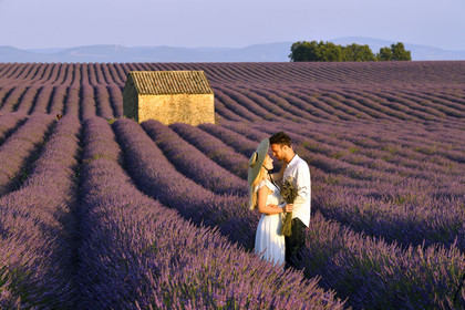 France, Valensole