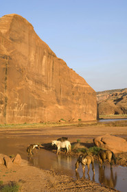 USA, MONUMENT VALLEY
