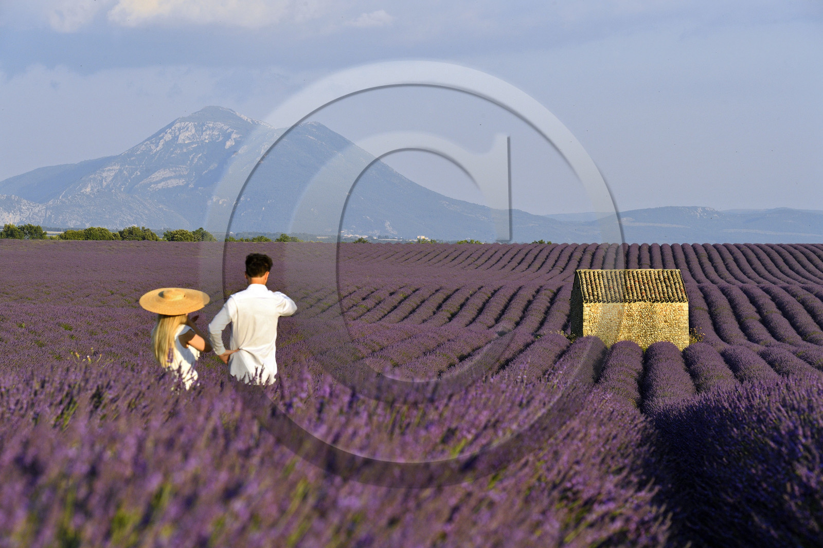 France, Valensole