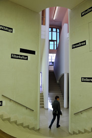 Allemagne, Francfort