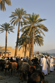 Oman, Nizwa