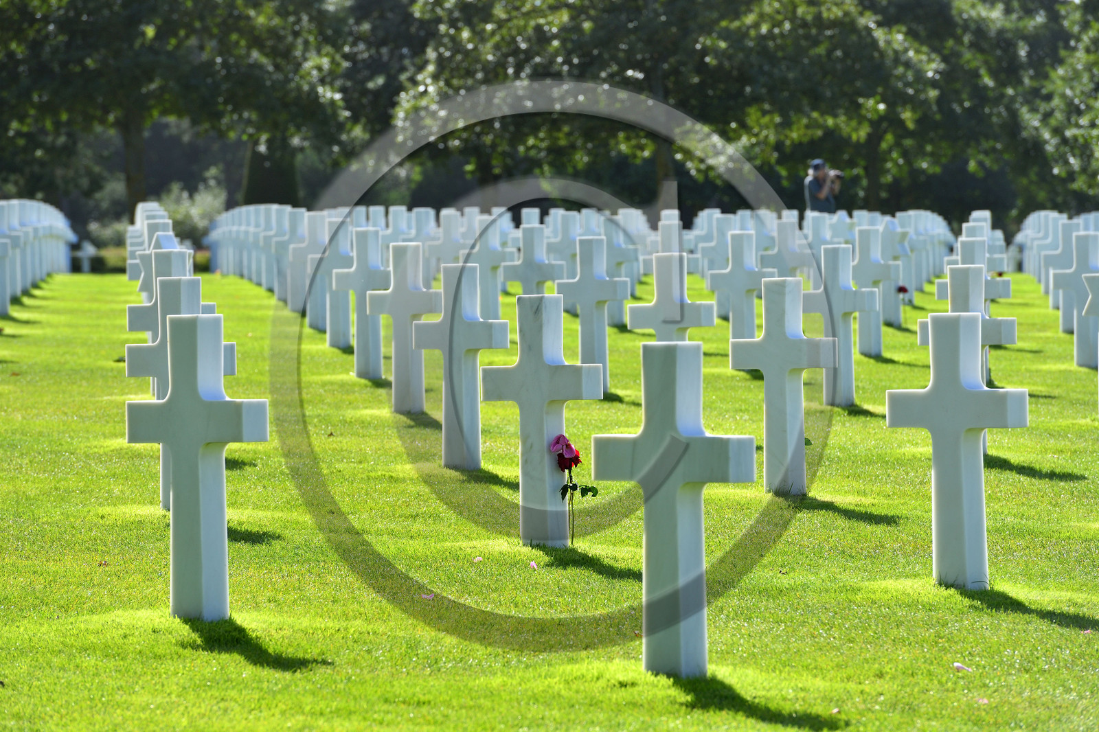 France, Débarquement