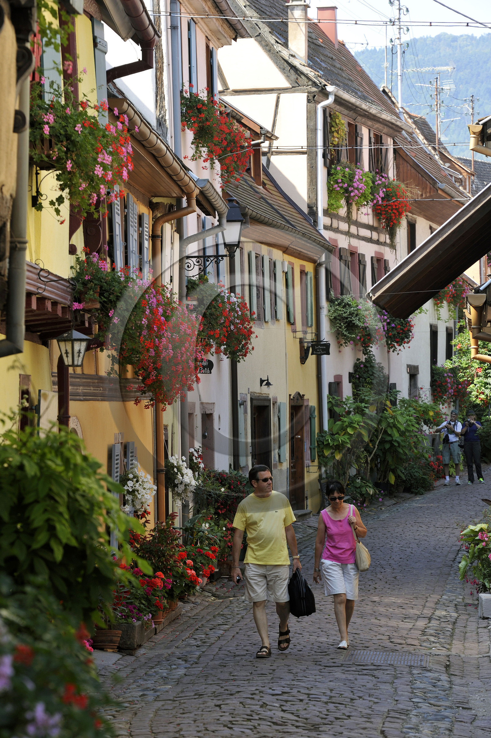 France, Eguisheim