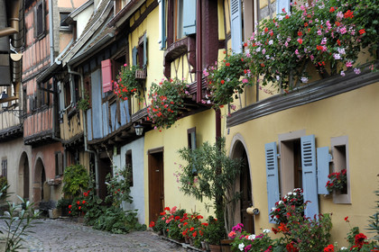 France, Eguisheim