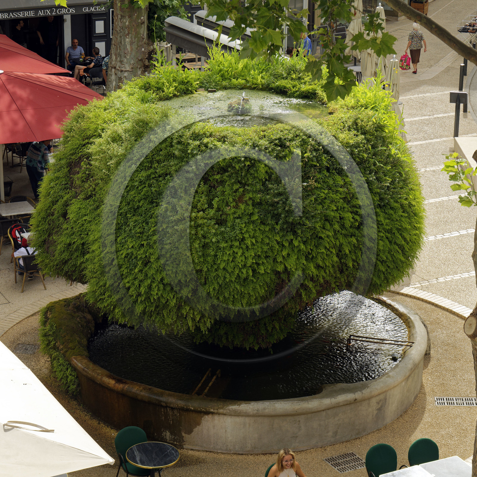 France, Salon de Provence