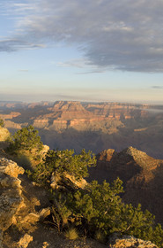 USA, GRAND CANYON