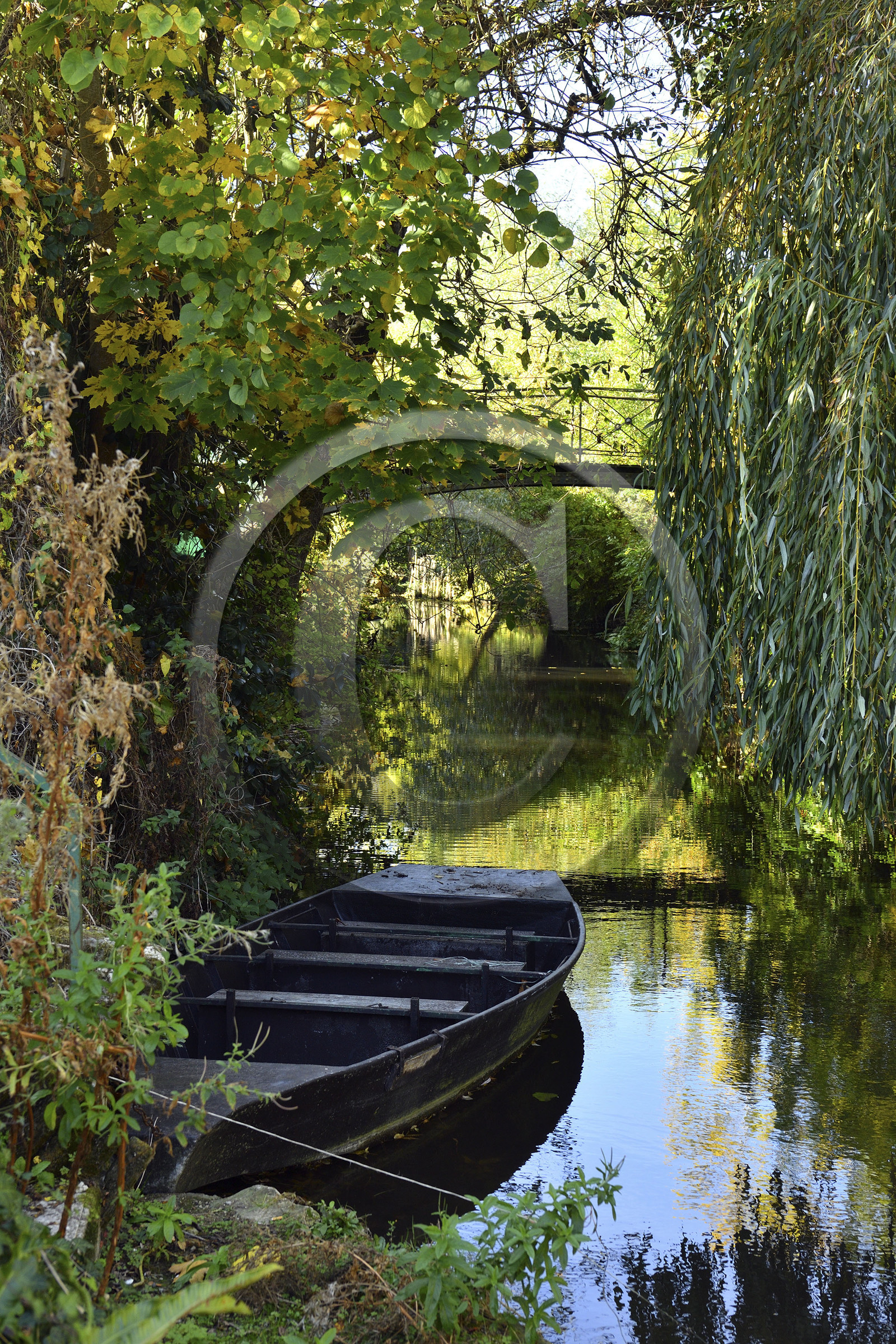 France, Marais Poitevin