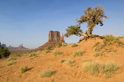 USA, MONUMENT VALLEY