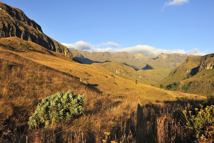 AFS, Drakensberg