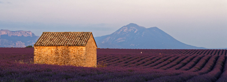 France, Valensole