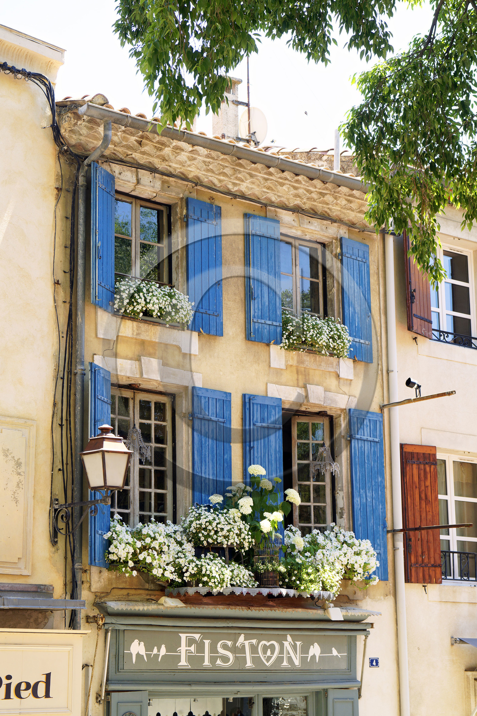 France, Saint Remy de Provence
