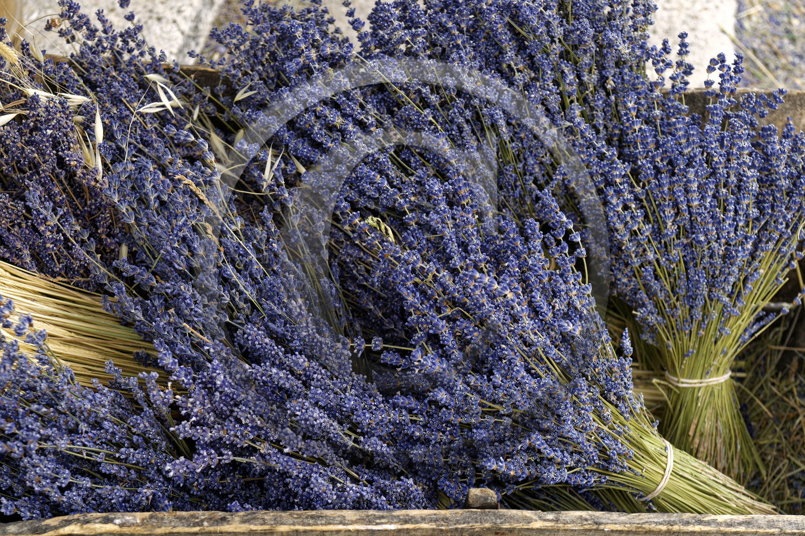 France, Mont Ventoux