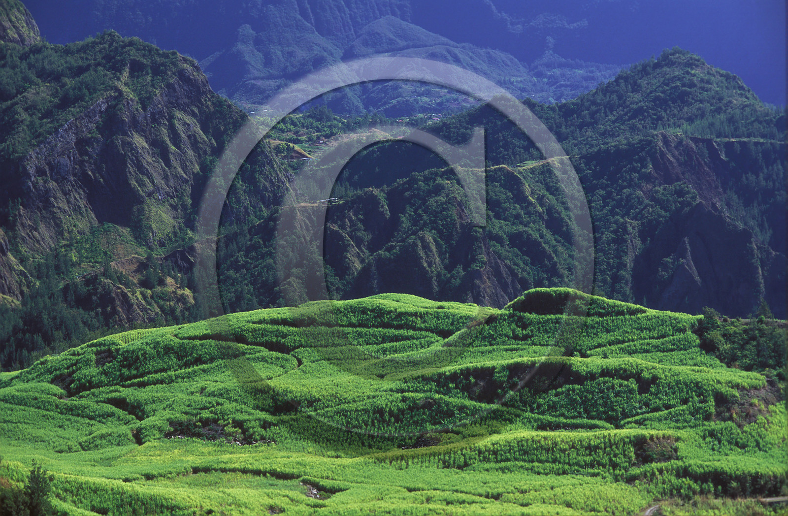 Ile de la Réunion.France