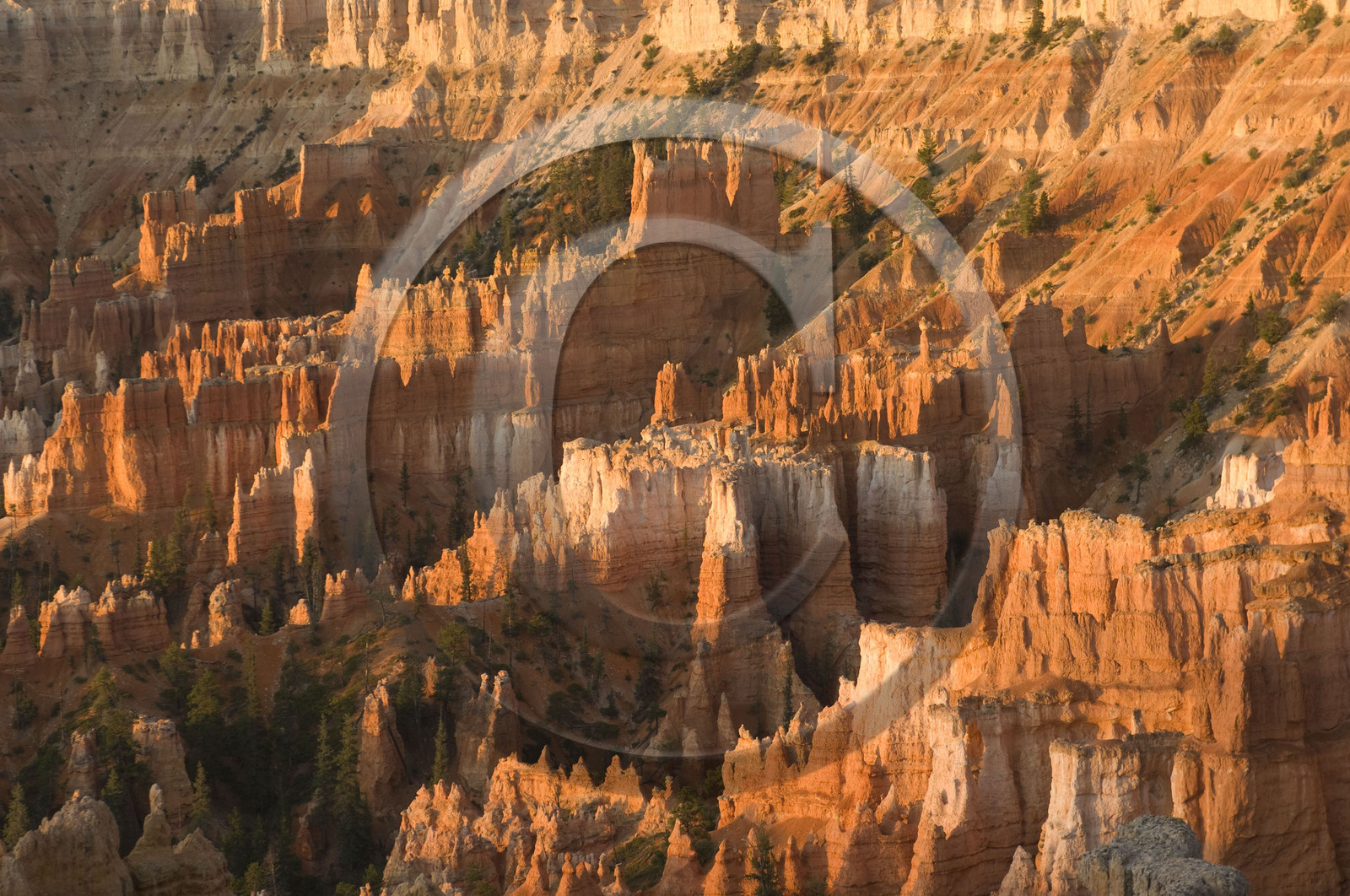 USA, BRYCE CANYON