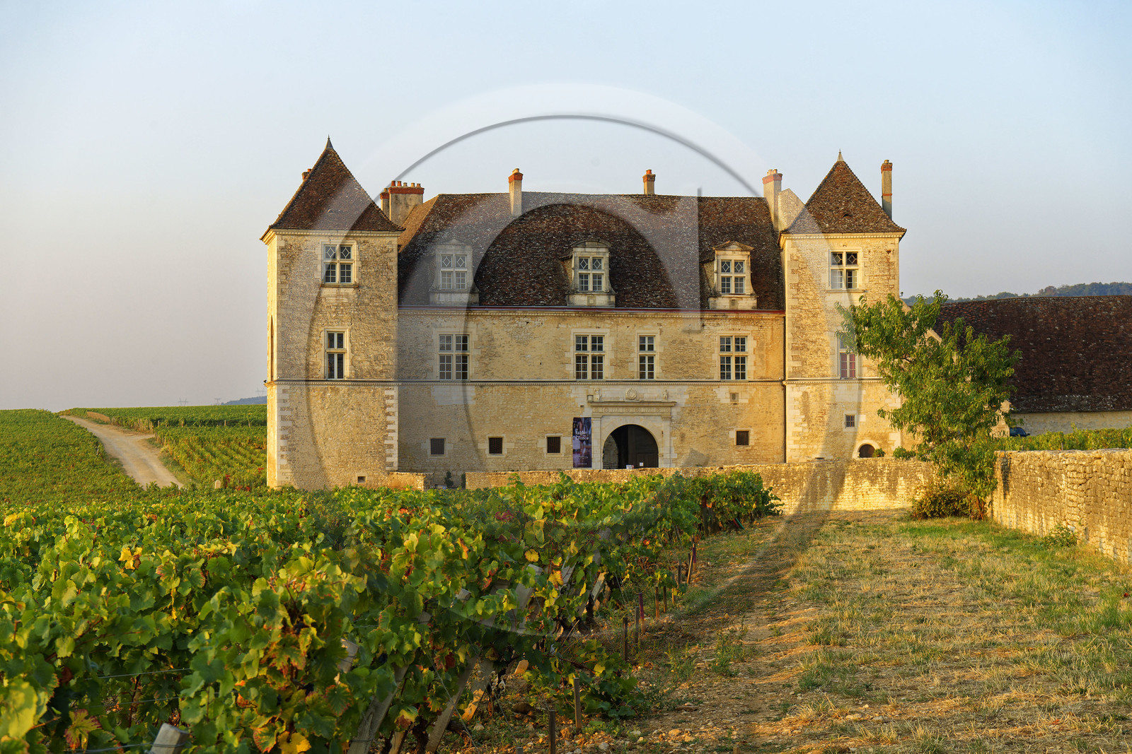 France, Vougeot