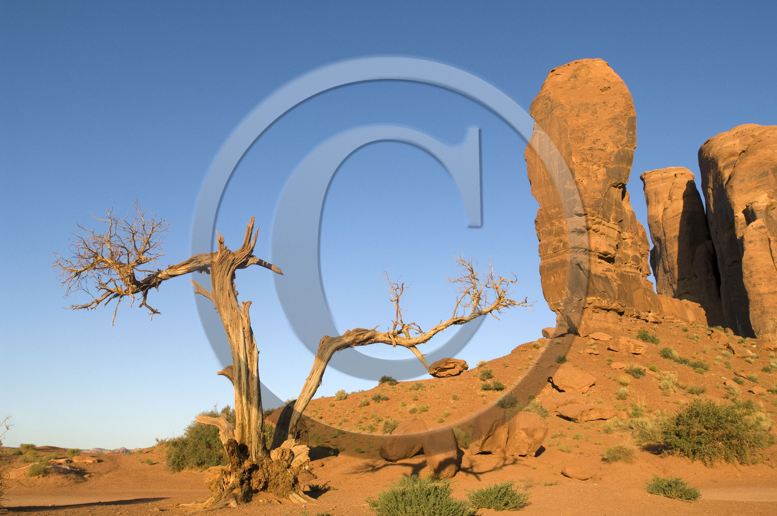 USA, MONUMENT VALLEY