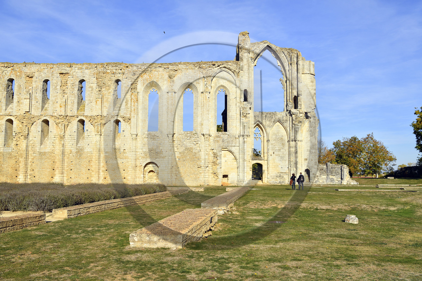 France, Marais Poitevin