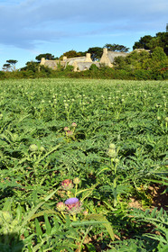 France, Plougrescant