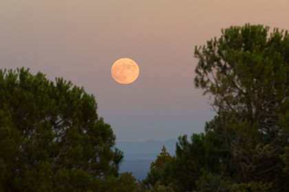 France, Baux de Provence