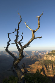 USA, GRAND CANYON
