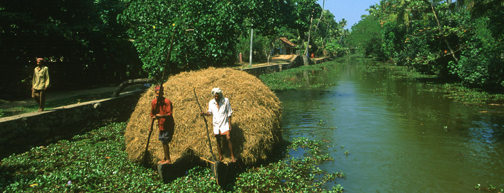 Inde du Sud