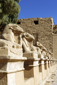 Egypte, Karnak