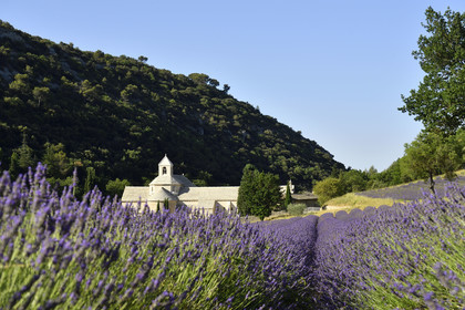 France, Senanque
