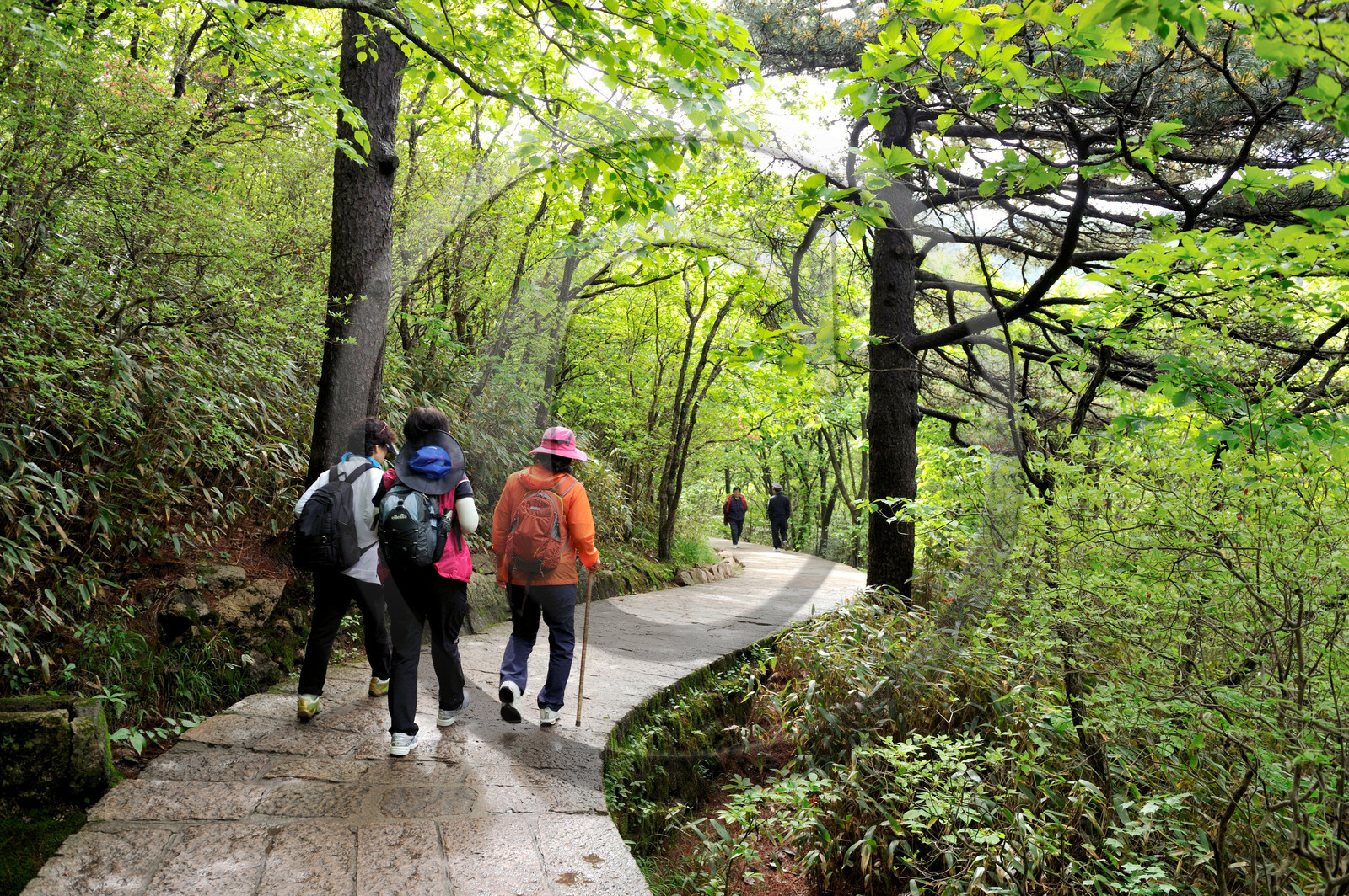 Chine, Huang Shan