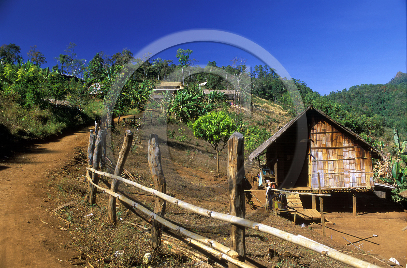 THAILANDE   VILLAGE DU NORD.MINORITÉ LAHU ROUGE