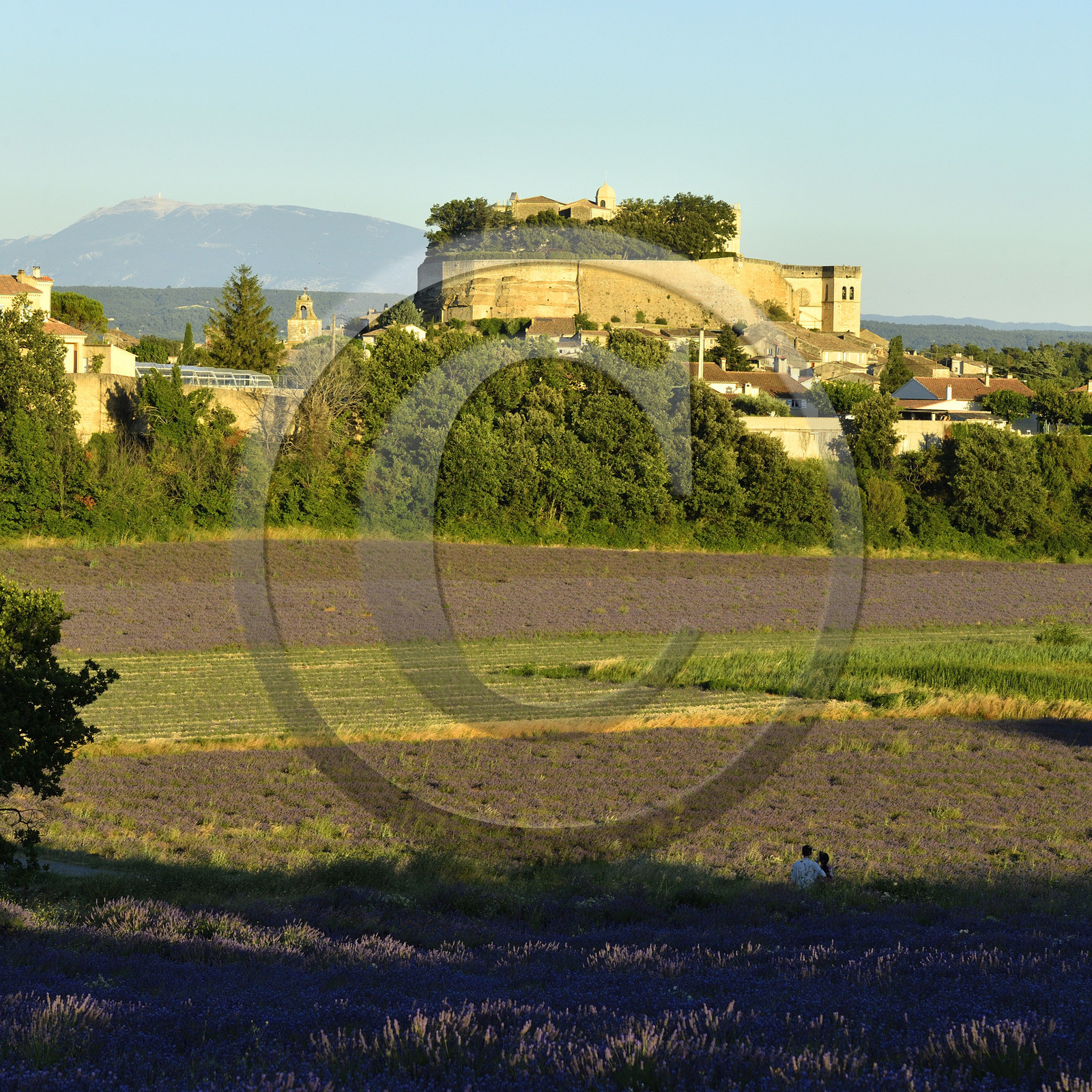 France, Grignan