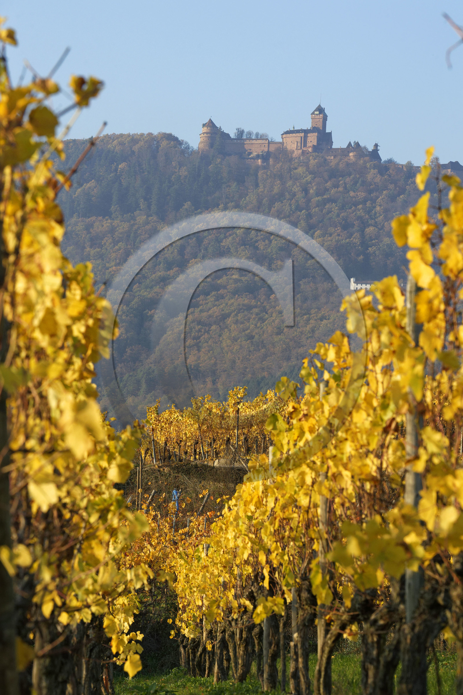 France, Koenigsbourg