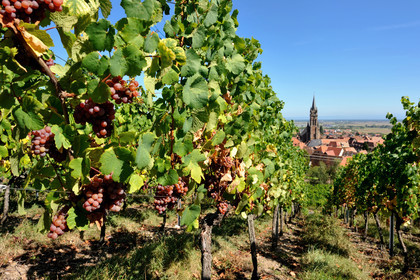 France, Alsace
