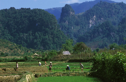 LAOS VANG VIENG