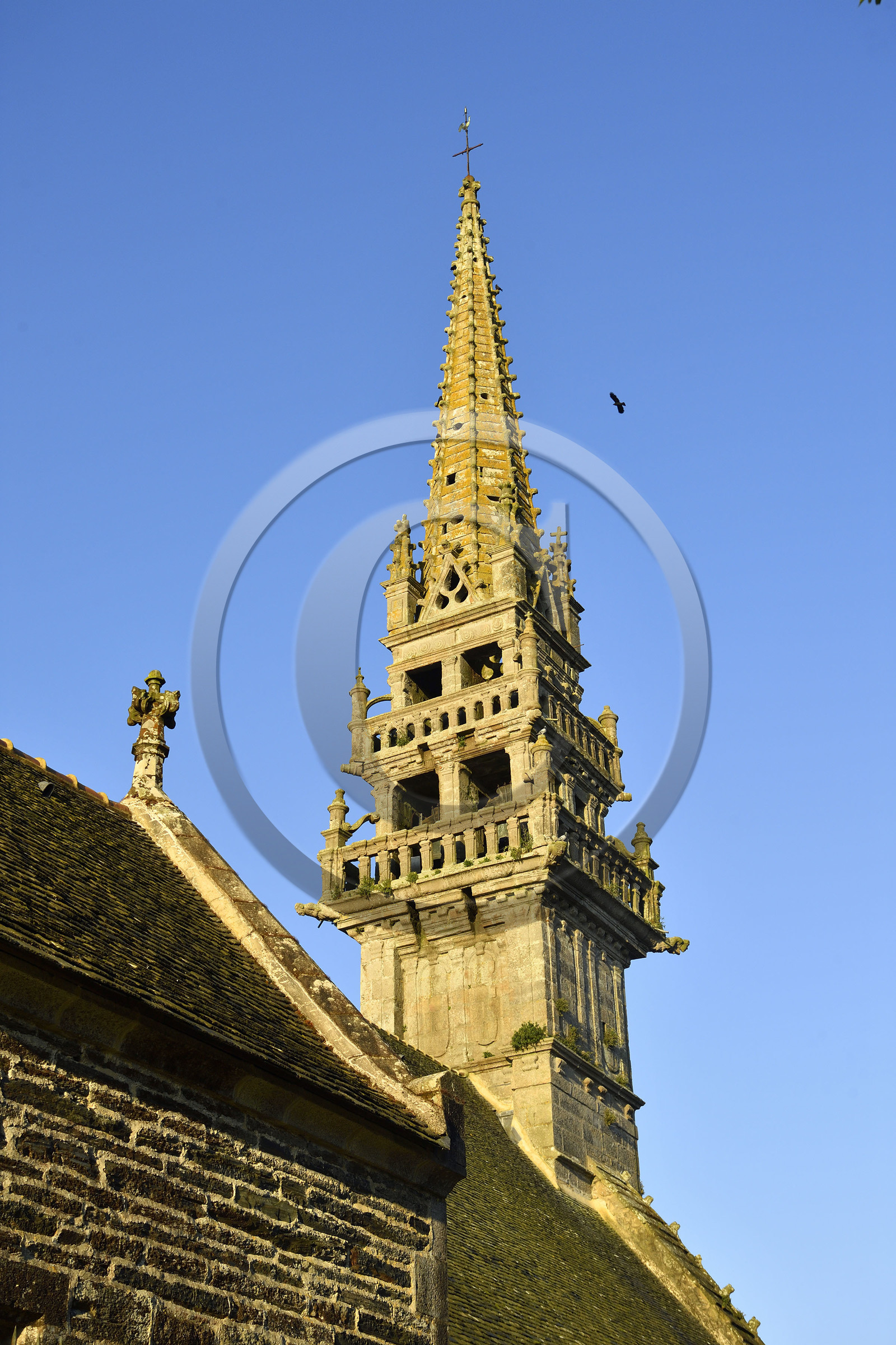 France, Roche Maurice