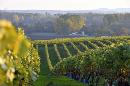 France, Cognac